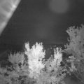 Webcam_20230919-061500
