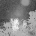 Webcam_20230921-053000