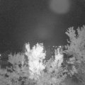 Webcam_20230921-204500