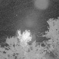 Webcam_20230924-054500