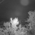 Webcam_20231005-051500