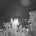 Webcam_20231005-201500