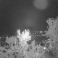 Webcam_20231005-204500