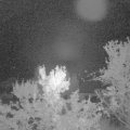 Webcam_20231008-053000