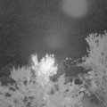 Webcam_20231008-060000