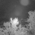Webcam_20231008-061500