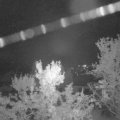 Webcam_20231009-053000