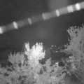 Webcam_20231009-060000