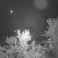 Webcam_20231010-051500