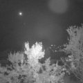 Webcam_20231010-053000