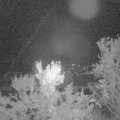 Webcam_20231012-051500