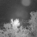 Webcam_20231012-054500