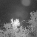 Webcam_20231012-063000