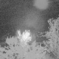 Webcam_20231014-051500