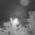 Webcam_20231015-051500