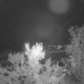 Webcam_20231016-194500