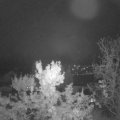 Webcam_20231019-063000
