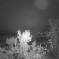 Webcam_20231019-070000