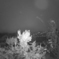 Webcam_20231019-071500