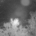 Webcam_20231022-051500