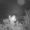 Webcam_20231023-051500