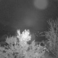 Webcam_20231028-051500