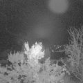 Webcam_20231028-070000