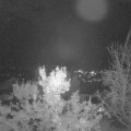 Webcam_20231031-200000