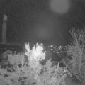 Webcam_20231031-203000