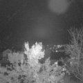 Webcam_20231031-210000