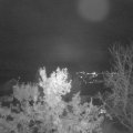 Webcam_20231107-184500