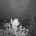 Webcam_20231108-074500