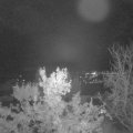 Webcam_20231109-203000