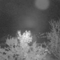 Webcam_20231110-051500