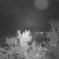Webcam_20231111-204500