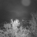Webcam_20231116-073000