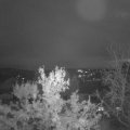 Webcam_20231116-074500