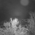 Webcam_20231118-051500