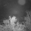 Webcam_20231118-060000