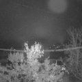 Webcam_20231119-060000