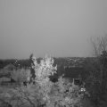 Webcam_20231119-081500
