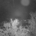 Webcam_20231120-060000