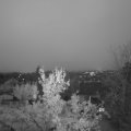 Webcam_20231120-081500