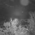 Webcam_20231124-063000