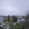 Webcam_20231125-113000
