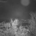 Webcam_20231126-053000