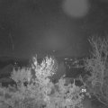 Webcam_20231126-054500