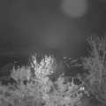 Webcam_20231126-060000