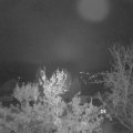 Webcam_20231126-061500