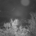 Webcam_20231126-073000